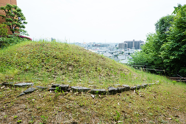 站在小丘上可以俯瞰寶塚市區。