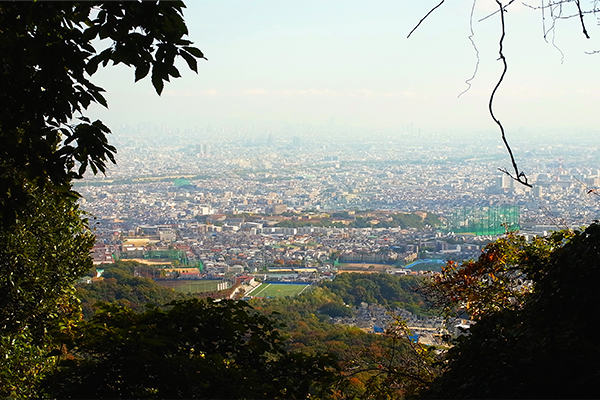 從甲山稍向下行，眺望大阪方向。