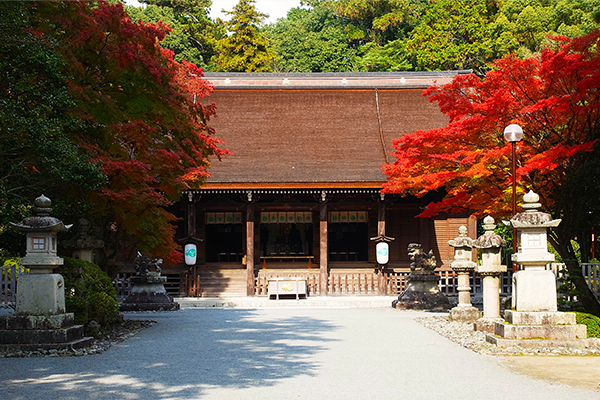 被指定為國家重要文化財產的多田神社拜殿。