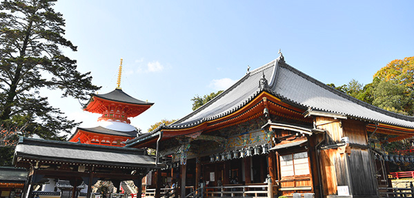 Nakayamadera Temple