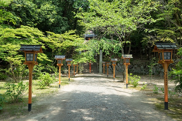 Mefu-jinja stands surrounded by trees