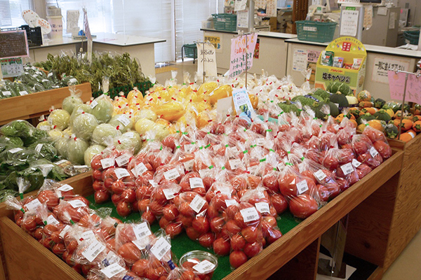 Freshly picked vegetables are delivered every day 