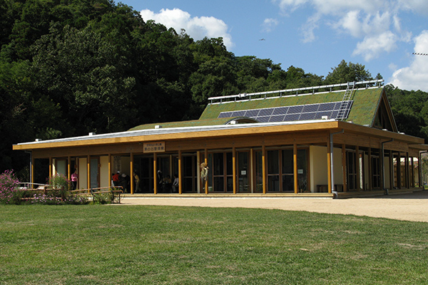 The main park building is surrounded by a variety of flora and fauna