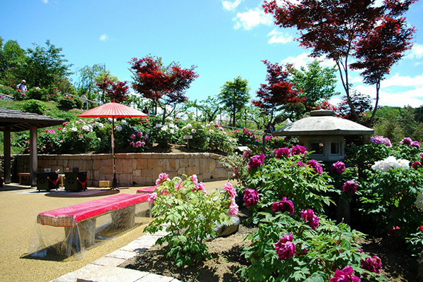 Open-air tea ceremonies are held in the garden (fee required)
