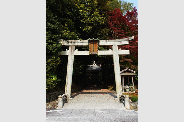 Torii gate of Tadajinja