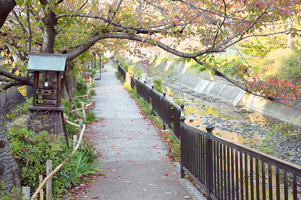 Path along Ōhorigawa