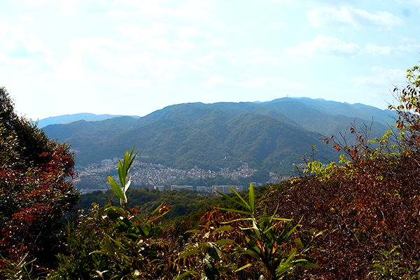 See the Rokkō mountain range beyond the trees