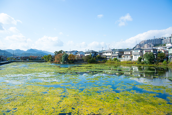 표주박 연못(시모노이케).