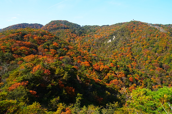 교자야마 산 도칸 봉에서 남쪽 방면. 종주로가 이어지는 산들.