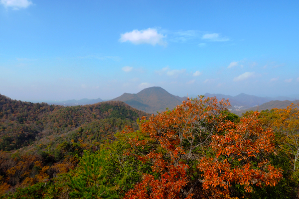 紅葉越しの奥山が広がる。