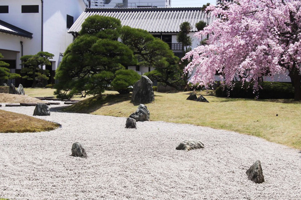 伊丹郷町館内の日本庭園。春には枝垂れ桜が楽しめる。