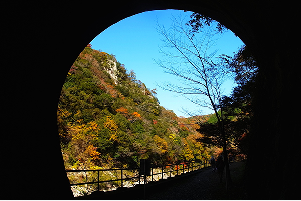 トンネルを出るたびに、景色が大胆に変化します。