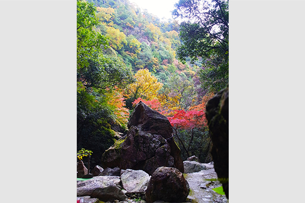 巨岩と紅葉のコントラストが美しい。