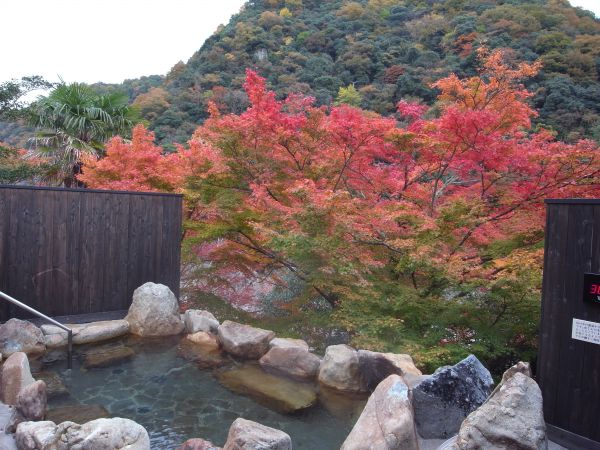 武田尾溫泉紅葉館別庭azalee 寶塚觀光推薦 住宿 Beautiful Takarazuka 寶塚市國際旅遊協會